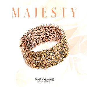 Park Lane Majesty Bracelet- NWTO!!! 💛 absolutely beautiful